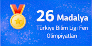 26 madalya